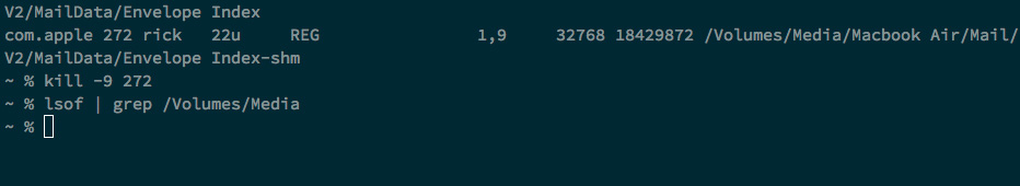 lsof command on my Media disk